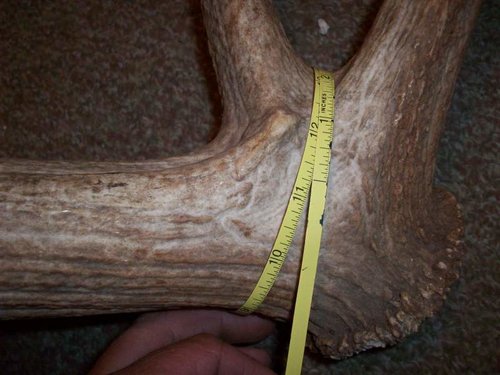 100_0276.jpg