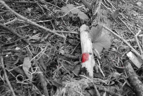 DSC01086.jpg DSC01086.jpg