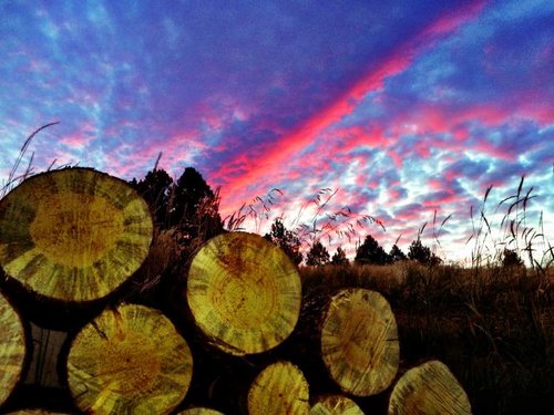 FirewoodSunset.jpg