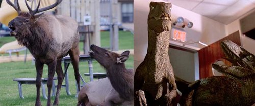 jurassicelk.jpg