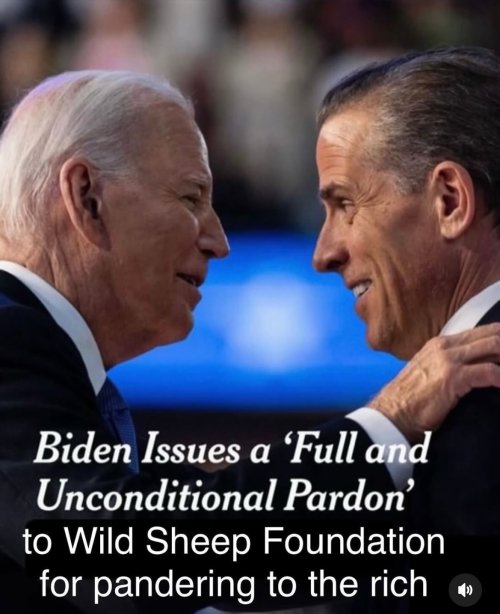 IMG_3882.jpeg IMG_3882.jpeg