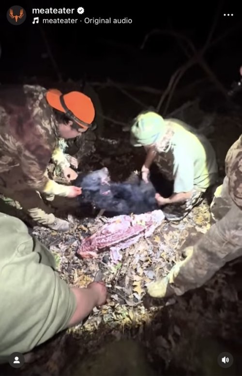 IMG_4996.jpeg IMG_4996.jpeg