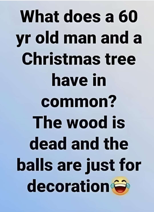 Screenshot_20241205-121746.png