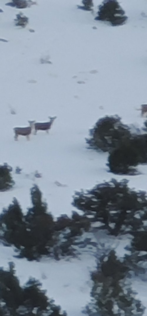 20241117_164627.jpg 20241117_164627.jpg