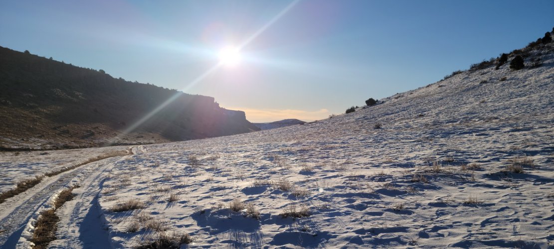 20241118_074004.jpg 20241118_074004.jpg