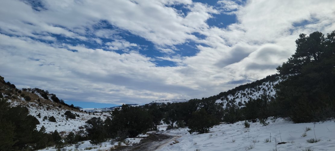 20241118_113802.jpg 20241118_113802.jpg