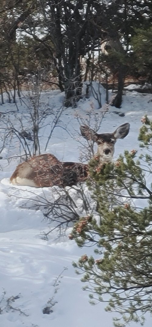 20241119_095750.jpg 20241119_095750.jpg