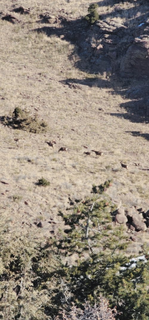 20241120_083429.jpg 20241120_083429.jpg
