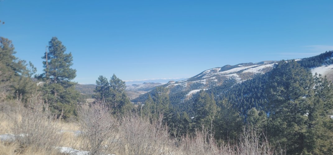 20241120_103837.jpg 20241120_103837.jpg