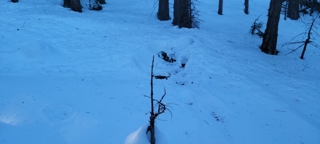 20241122_081200.jpg 20241122_081200.jpg