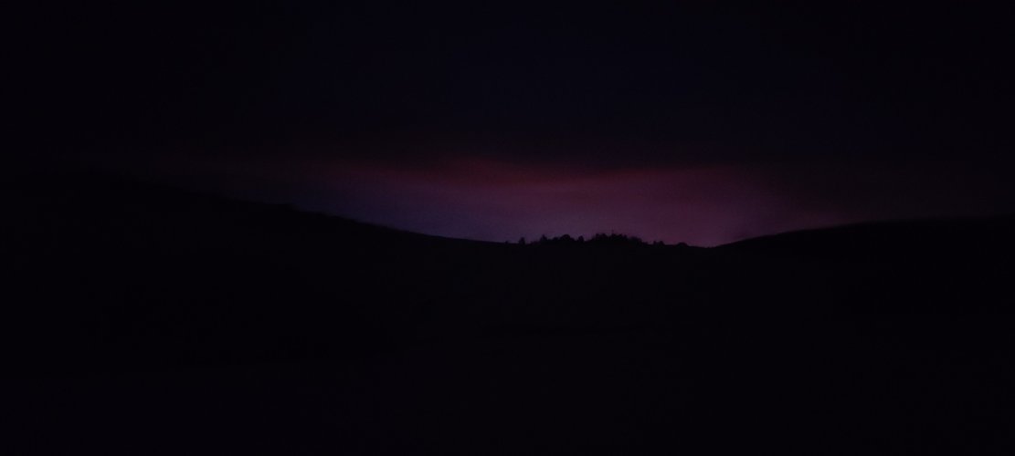 20241123_055516.jpg 20241123_055516.jpg
