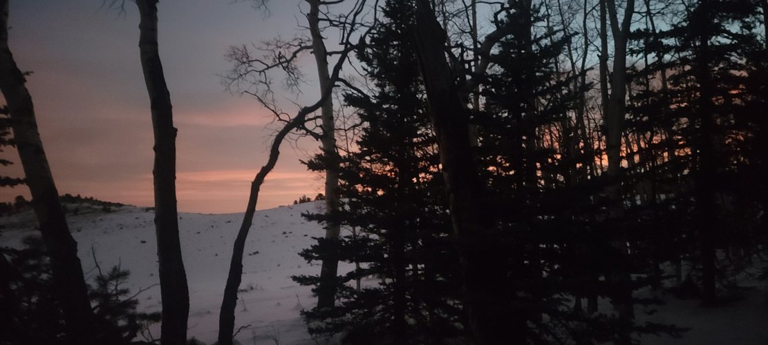 20241123_061714.jpg 20241123_061714.jpg