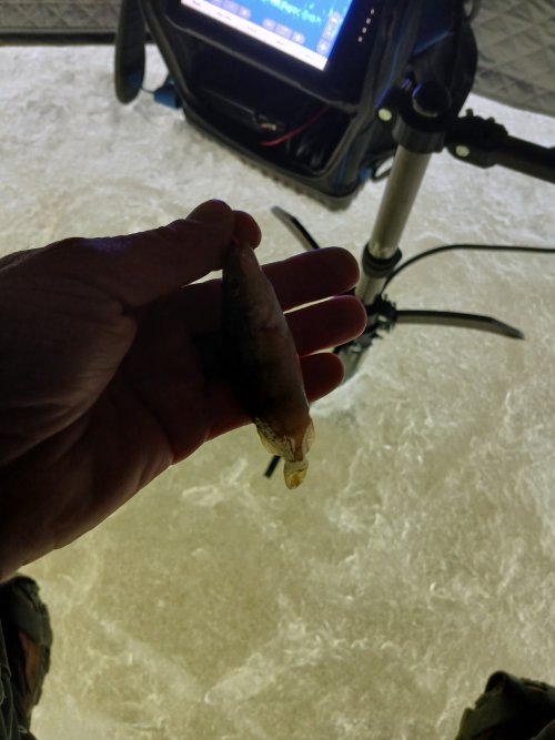 20241207_094140.jpg 20241207_094140.jpg