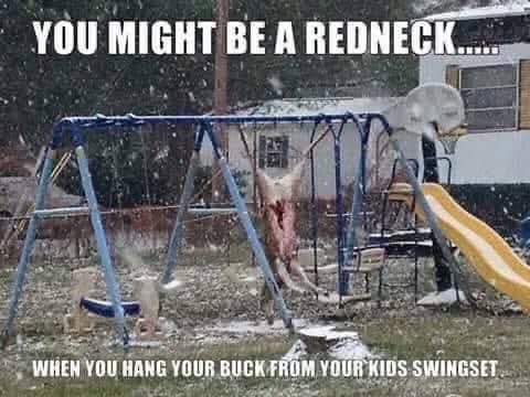FB_IMG_1733705465800.jpg FB_IMG_1733705465800.jpg