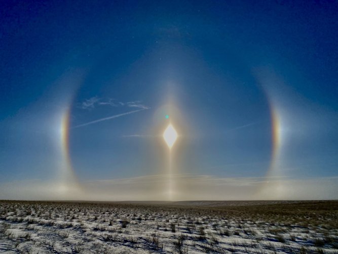 sun dog.jpeg