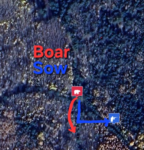 1000010853.jpg 1000010853.jpg