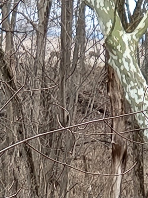 20241214_164208.jpg 20241214_164208.jpg