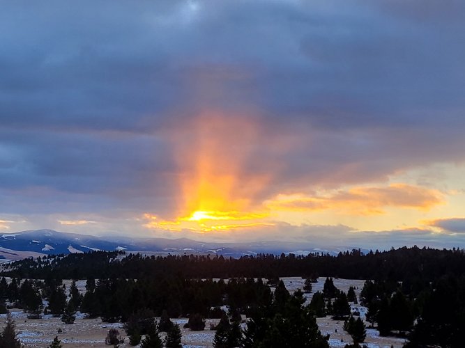 20241127_080004.jpg