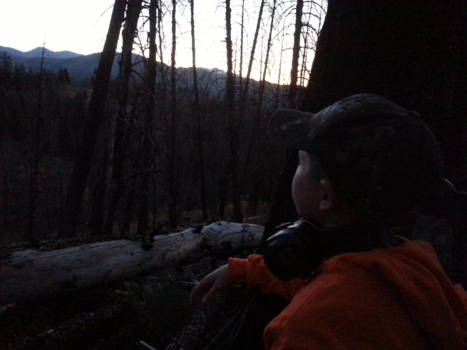 20141010_072421_Original.jpeg 20141010_072421_Original.jpeg