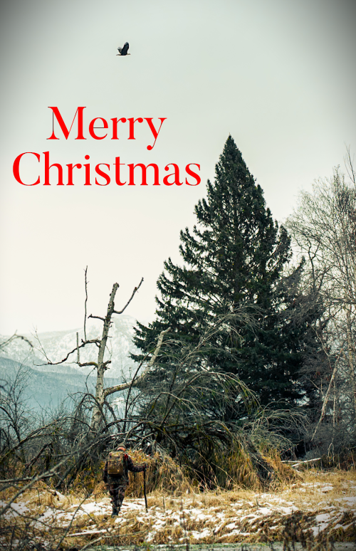 1735071124119.png 1735071124119.png