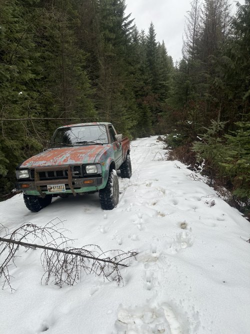 IMG_4456.JPG IMG_4456.JPG