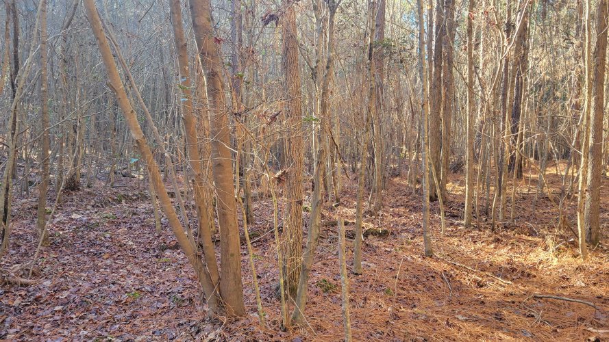 20250101_113640.jpg 20250101_113640.jpg