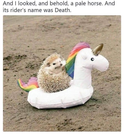 1000007775.jpg 1000007775.jpg