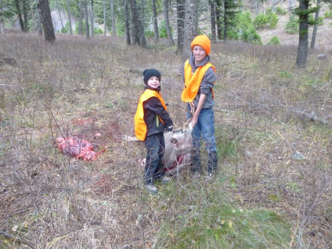 Bode's first buck.JPG Bode's first buck.JPG