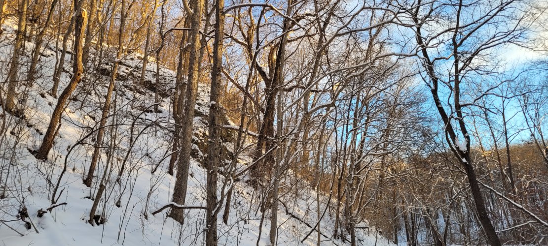 20250111_075631.jpg