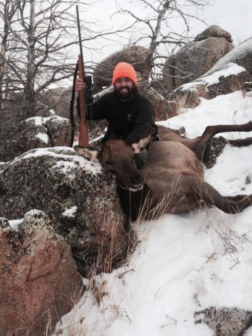 elk1.jpg elk1.jpg