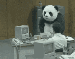 1737945092771.gif 1737945092771.gif