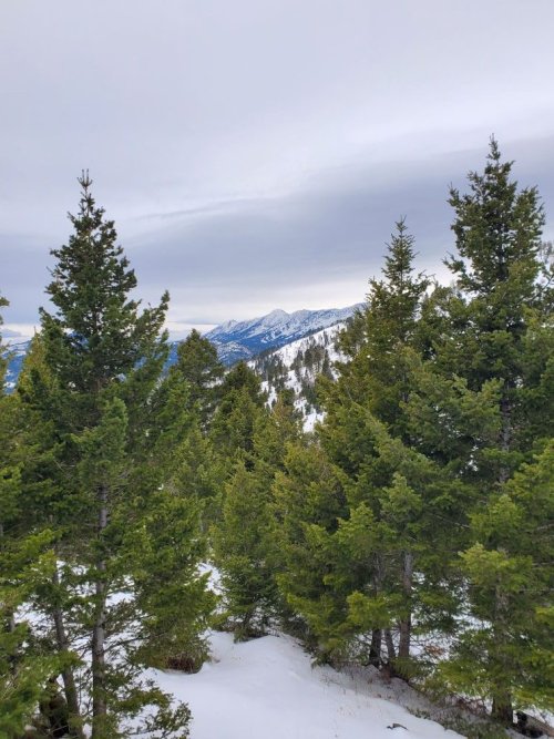 OutPost Bridger view.jpg OutPost Bridger view.jpg