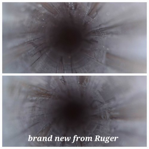 20250205_222302.jpg 20250205_222302.jpg