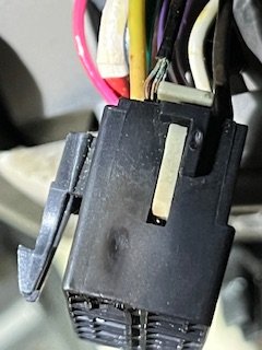 IMG_3787.jpeg IMG_3787.jpeg