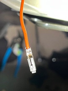 IMG_3789.jpeg IMG_3789.jpeg