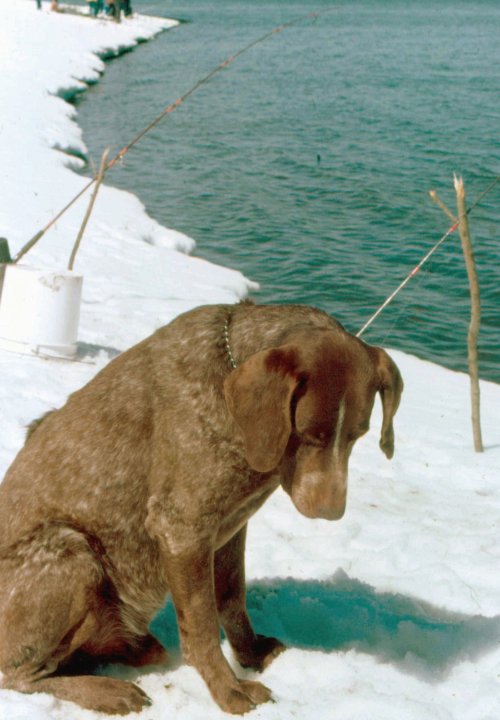 JAKE COLD.jpg JAKE COLD.jpg
