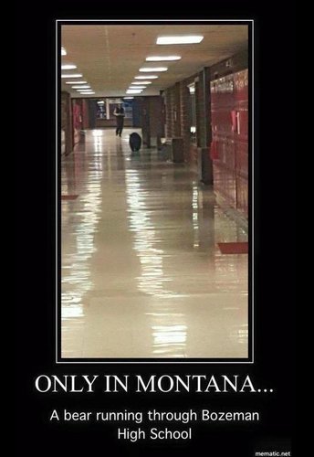 BSHS.jpg