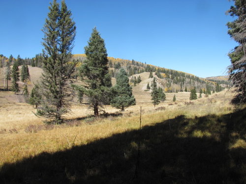 Cruses Basin Hunting Trip 2015 018.jpg