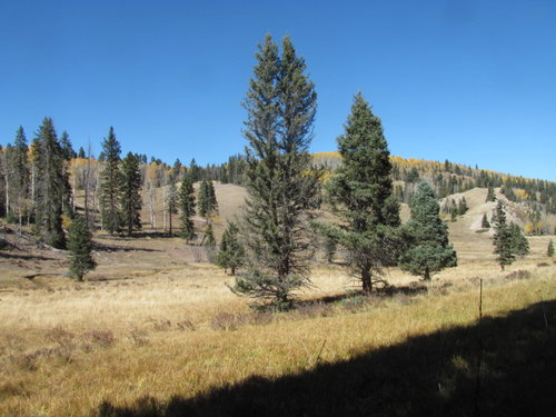 Cruses Basin Hunting Trip 2015 019.jpg