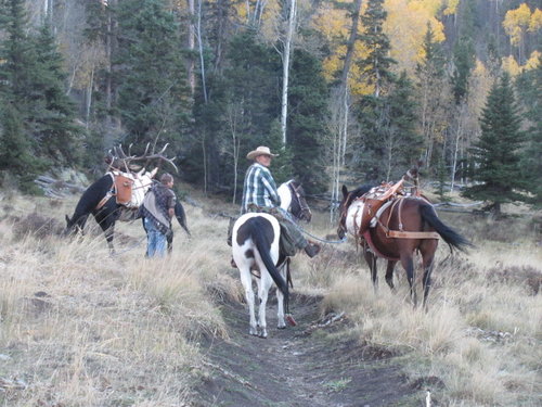 Cruses Basin Hunting Trip 2015 020.jpg