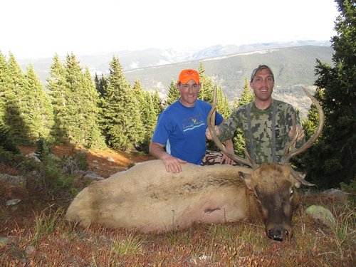 2015.matt.bull(1).jpg 2015.matt.bull(1).jpg