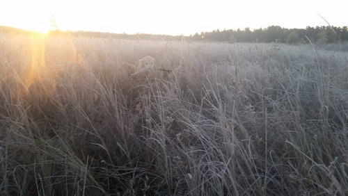 20151018_072842.jpg