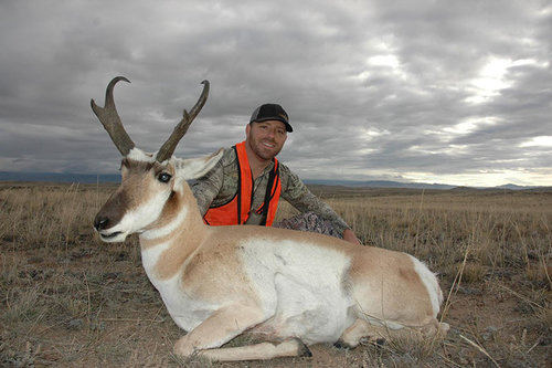 Gregs Wy pronghorn 2015 small.jpg