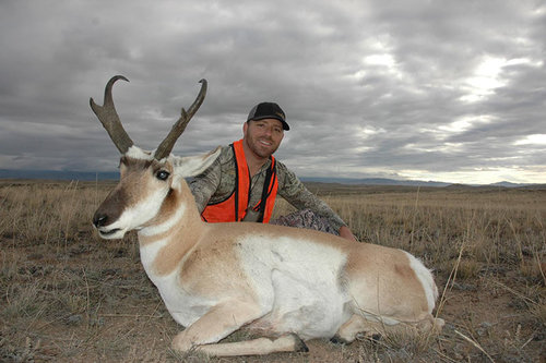 Gregs Wy pronghorn 2015 small.jpg Gregs Wy pronghorn 2015 small.jpg