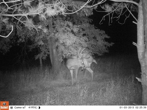 EK004483 (800x600).jpg