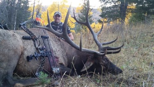 Elk 2015 1.jpg