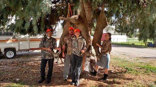 SheltonTree.jpg SheltonTree.jpg