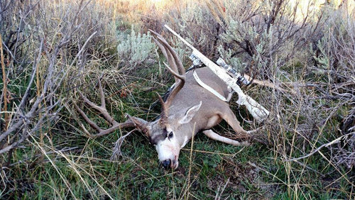 buckfront.jpg buckfront.jpg