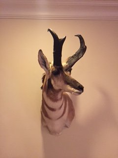 IMG_1270.JPG