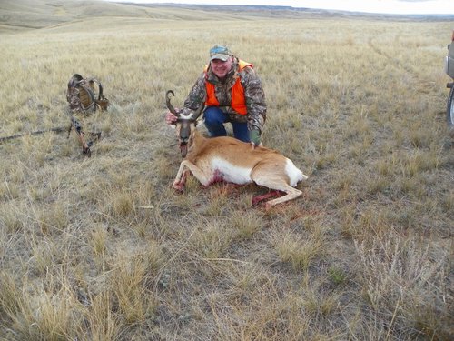 antelope 056 (800x600).jpg